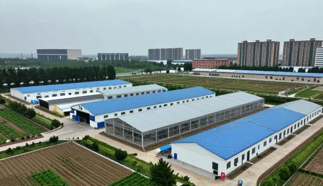 康复指导服务中的常见问题及应对策略